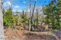 L18 Mountain Meadows Road Horicon, NY 12808