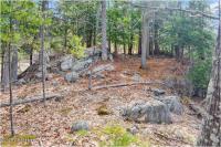 L18 Mountain Meadows Road Horicon, NY 12808