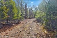 L18 Mountain Meadows Road Horicon, NY 12808