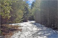 L18 Mountain Meadows Road Horicon, NY 12808