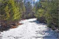 L18 Mountain Meadows Road Horicon, NY 12808