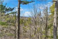L18 Mountain Meadows Road Horicon, NY 12808