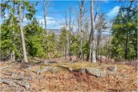 L18 Mountain Meadows Road Horicon, NY 12808