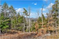 L18 Mountain Meadows Road Horicon, NY 12808