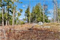L18 Mountain Meadows Road Horicon, NY 12808