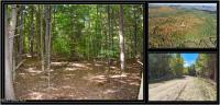 112 Carriage Knoll Road Chester, NY 12817