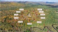 112 Carriage Knoll Road Chester, NY 12817