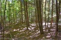 112 Carriage Knoll Road Chester, NY 12817