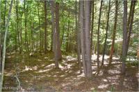 112 Carriage Knoll Road Chester, NY 12817