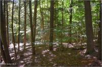 112 Carriage Knoll Road Chester, NY 12817