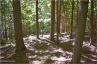 112 Carriage Knoll Road Chester, NY 12817