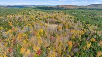 112 Carriage Knoll Road Chester, NY 12817