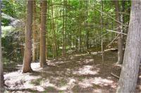 112 Carriage Knoll Road Chester, NY 12817