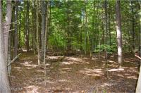 112 Carriage Knoll Road Chester, NY 12817