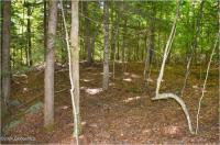112 Carriage Knoll Road Chester, NY 12817