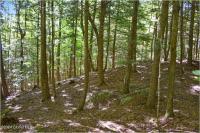 112 Carriage Knoll Road Chester, NY 12817