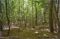 112 Carriage Knoll Road Chester, NY 12817