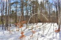 L92 Highview Lane Lot 8 Johnsburg, NY 12886