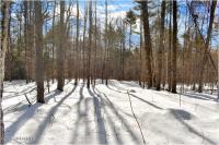 L92 Highview Lane Lot 8 Johnsburg, NY 12886