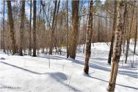 L92 Highview Lane Lot 8 Johnsburg, NY 12886