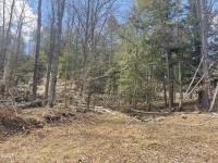 385 Johnson Road Horicon, NY 12808