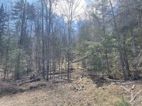 385 Johnson Road Horicon, NY 12808