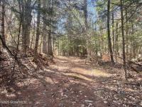 385 Johnson Road Horicon, NY 12808
