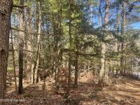 385 Johnson Road Horicon, NY 12808