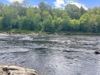 40 Field Road North Chester, NY 12853