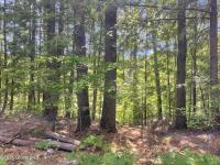 40 Field Road North Chester, NY 12853