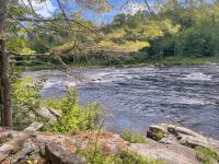 40 Field Road North Chester, NY 12853