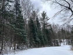 Lot # 10 Moonshine Valley Rd Presque Isle, WI 54557