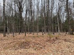 ON Forest Lake Rd W Lot 3 Land O Lakes, WI 54540