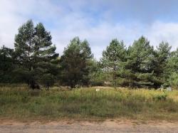 ON Strong Rd Lot 11 Phelps, WI 54554