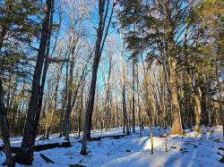 13 Acres Wallace Rd Mercer, WI 54547