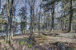 ON Timber Wolf Rd Lot #31 Presque Isle, WI 54557