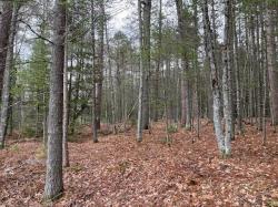 ON W Forest Lake Rd Lot 5 Land O' Lakes, WI 54540
