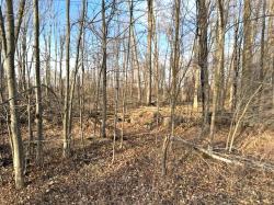 Lot 2 Thorn Apple Dr Wittenberg, WI 54499