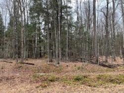ON Forest Lake Rd W Lot 2 Land O Lakes, WI 54540