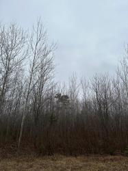 ON Burrows Lake Rd 4067-A Tomahawk, WI 54487