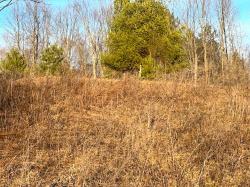 Lot 6 Thorn Apple Dr Wittenberg, WI 54499