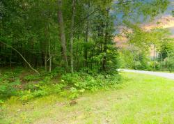 Lot 76 Groh Ln Mountain, WI 54149
