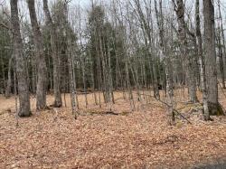 ON Forest Lake Rd W Lot 4 Land O Lakes, WI 54540