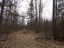 Off Wright Rd 40+/- Acre Winter, WI 54896