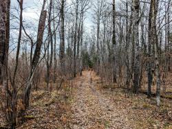 ON Woodland Ln 10+/- acre Phillips, WI 54555