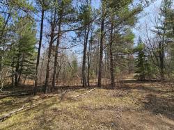NEAR Jack Pine Forest Rd Lake Tomahawk, WI 54521