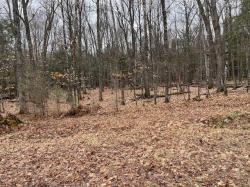 ON Forest Lake Rd W Lot 1 Land O Lakes, WI 54540