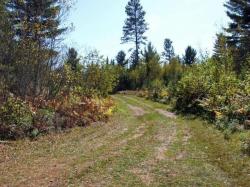 TBD Forest Rd 2127 Iron River, MI 49935