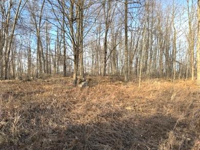 Lot1 Thorn Apple Dr Wittenberg, WI 54499