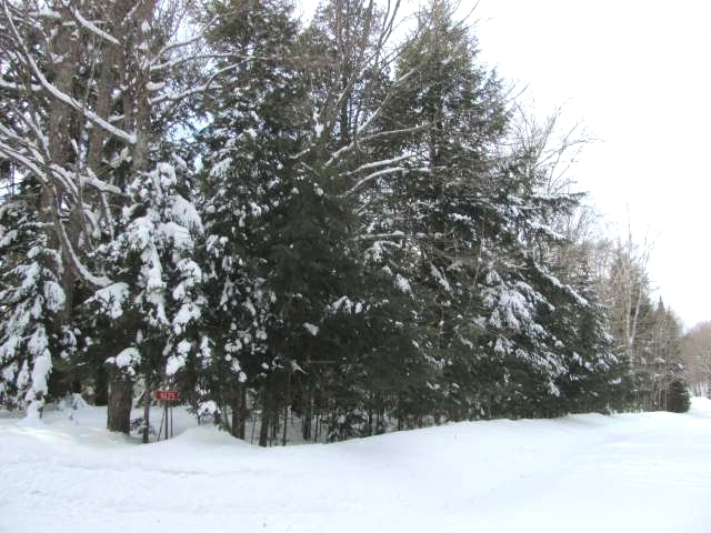 Hwy 70, St Germain, WI 54558